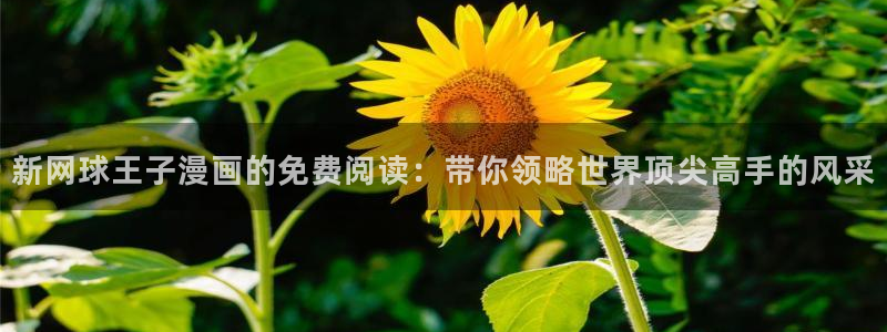 雀魂喵趣券：新网球王子漫画的免费阅读：带你领略世界顶尖高手的风采