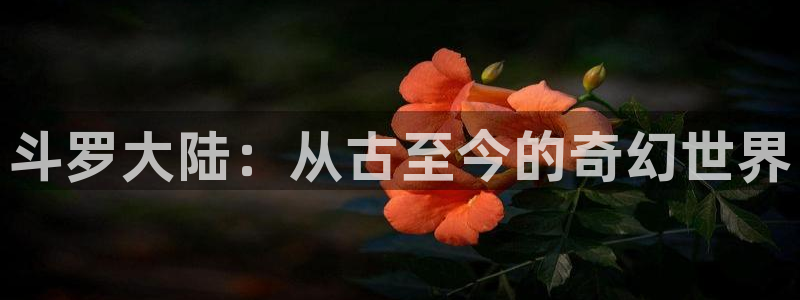 www.喵趣 top：斗罗大陆：从古至今的奇幻世界