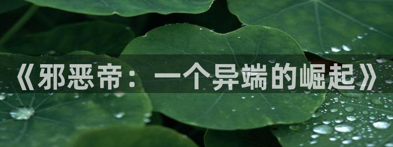 喵趣动漫正版下载：《邪恶帝：一个异端的崛起》