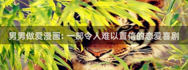 喵趣fm：男男做爱漫画: 一部令人难以置信的恋爱喜剧