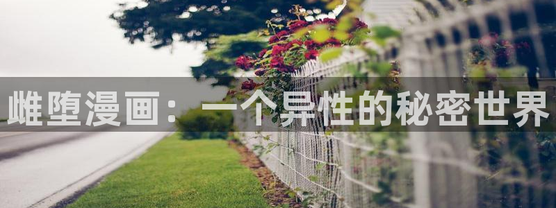 喵趣漫画新名字：雌堕漫画：一个异性的秘密世界