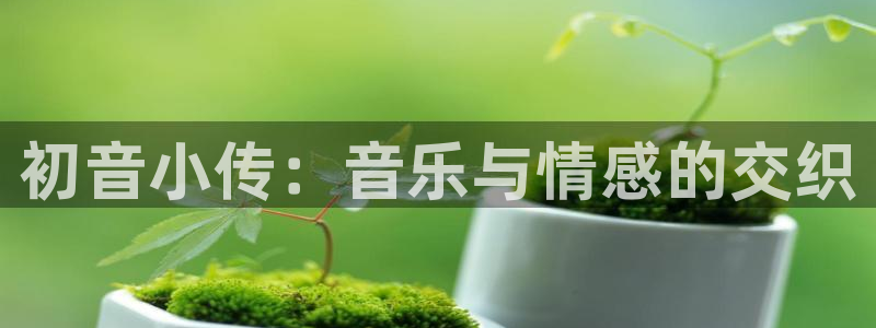 喵趣链接：初音小传：音乐与情感的交织