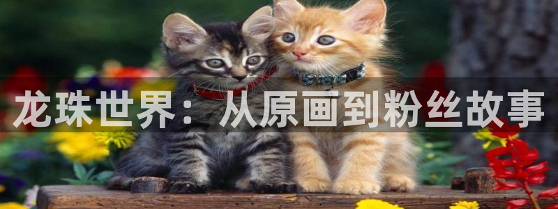 喵趣漫画链接：龙珠世界：从原画到粉丝故事