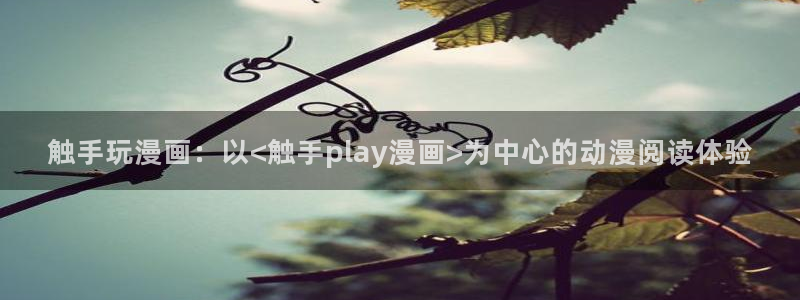 喵趣漫画怎么登录：触手玩漫画：以<触手play漫画>为中心的动漫阅读体验