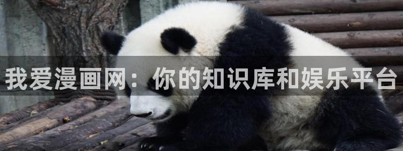 漫画喵趣：我爱漫画网：你的知识库和娱乐平台